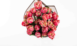 Bloom and Fresh ile Estetik, Kurumsallık ve Sürdürülebilirlik Bir Arada