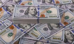 Dolar/TL 46,08 Seviyesini Görerek Rekor Tazeledi