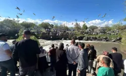 Van'da İnci Kefali Göçü Ziyaretçilere Görsel Şölen Sunuyor