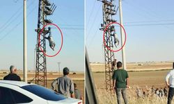 Akçakale'de Direkte Akıma Kapılan İşçi Ağır Yaralandı
