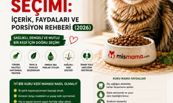 Kuru Kedi Maması Seçimi: İçerik, Faydaları ve Porsiyon Rehberi (2026)