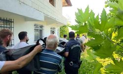 Ihlamur Toplarken Düştü, Hayatını Kaybetti