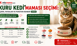 Kuru Kedi Maması Seçimi: İçerik, Faydaları ve Porsiyon Rehberi (2026)
