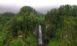 Macahel'deki Maral Şelalesi Ziyaretçi Akınına Uğruyor