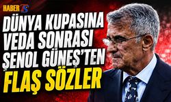 Şenol Güneş'ten Milli Takım İçin Sert Yorum