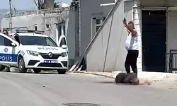 Dilovası'nda Eşini Bıçaklayan Şüpheli Yakalandı