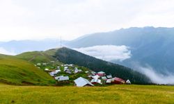 Uzmanlardan Yaylaya Çıkacaklara Sağlık Uyarısı