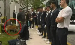 Dünya Kupası'nda K9 Araması Gündem Oldu