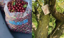 Kiraz Tartışmasının Ardından Gerçek Ortaya Çıktı