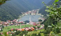 Uzungöl'de Yaz Sezonu Hareketliliği Başladı