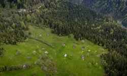 Trabzon Yaylaları Doğaseverleri Ağırlıyor