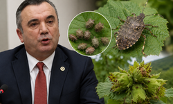Yavuz Aydın'dan Kokarca Mücadelesine Tepki