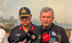 Antalya’daki 12 Yangından 10’u Söndürüldü