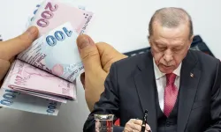 İşsizlik Sigortası Fonu İçin Yeni Düzenleme Yürürlükte