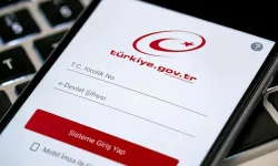e-Devlet’ten Adınıza Şirket Kaydı Sorgulama