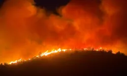 Milas’taki Yangında 1120 Kişi Tahliye Edildi