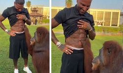 Quaresma İle Orangutanın Eğlenceli Anları