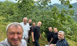 Trabzon’da Fındık Rekoltesi İçin Sayım Başladı