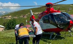 Trabzon Yaylasında Mantar Alarmı! Helikopter Sevki