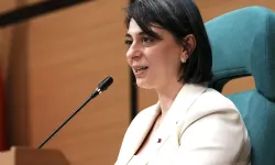 Sinem Dedetaş Hakkında Tutuklama Talebi