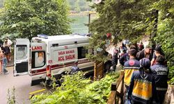 Uzungöl'de Otomobil Yamaçtan Yuvarlandı