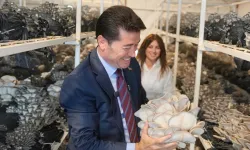 Ortahisar'da Mantar Kompostu Üretimi Başladı