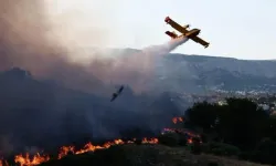 Yunanistan'daki Orman Yangınında Kayıp Sayısı Arttı