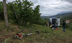 Akçaabat’ta Fındık Bahçesinde Elektrik Faciası