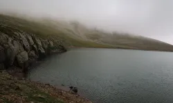 Camiboğazı Yaylası Sisli Manzarasıyla Büyülüyor