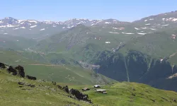 Maçka’daki 2 Bin 400 Yıllık Yol Turizme Açılıyor