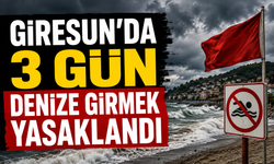 Giresun’da 3 Gün Denize Girmek Yasaklandı