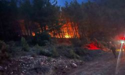 Alanya'da Orman Yangını Kontrol Altına Alındı