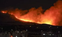 Ankara Mamak’ta Ağaçlık Alanda Yangın Çıktı