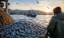 Trabzon’da Hamsi Av Sezonu İçin Tarih Talebi