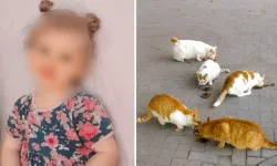 Diyarbakır'da Kuduz Teşhisi Konulan Çocuk Hayatını Kaybetti