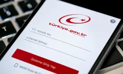 Elektronik Para Hesapları e-Devlet’te Görülecek