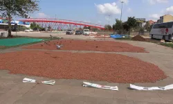 Trabzon’da Fındık Üreticileri Sahilde Nöbette