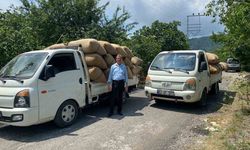Fındık Üreticilerine Erken Hasat Uyarısı