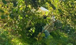 Giresun’da Kamyonet Fındık Bahçesine Devrildi