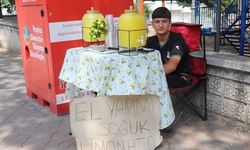 14 Yaşındaki Buğra Limonatayla 90 Bin TL Kazandı