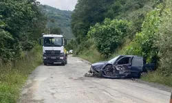 Ünye’de Kamyon Fındık Bahçesine Devrildi