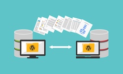 WordPress Sitesi İçin Hosting Seçerken Nelere Dikkat Edilmeli?