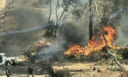 Fethiye’de Kamyonet Yangını Ormana Sıçradı