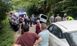 Araklı'da Araç Kanala Düştü: 5 Yaralı