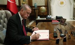 Trabzon Dahil 27 İlde Orman Sınırları Değişti