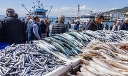 Karadeniz’de Balık Bereketi Tezgahlara Yansıdı