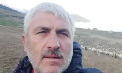 Ordu’da Yayla Yolunda Kaza: Sürücü Hayatını Kaybetti