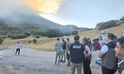 Konya'da Orman Yangını: Ekipler Seferber Oldu