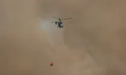 Orman Yangınlarında Evler Tahliye Edildi