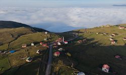 Çaykara Yaylalarında Sonbahar Renkleri